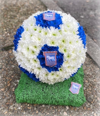 Ipswich town football on grass