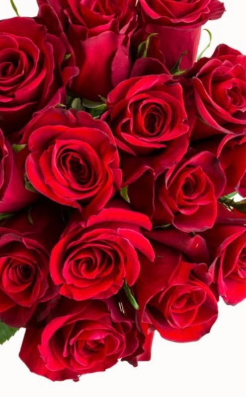 Buy 50 Shades of Red Roses Bouquet