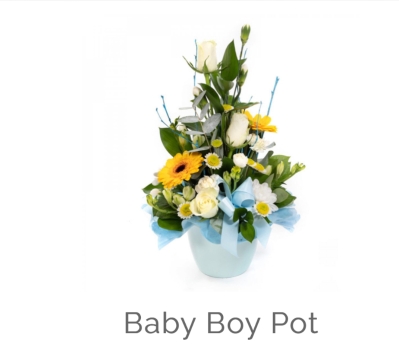 Baby boy pot arrangement