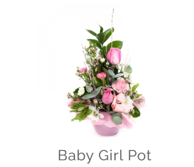 Baby girl pot arrangement