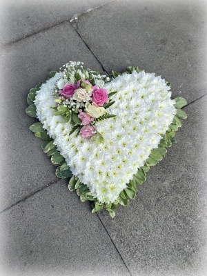 Based heart with foliage edged (baby pink)