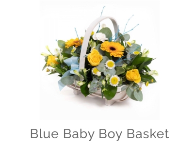 New baby boy basket